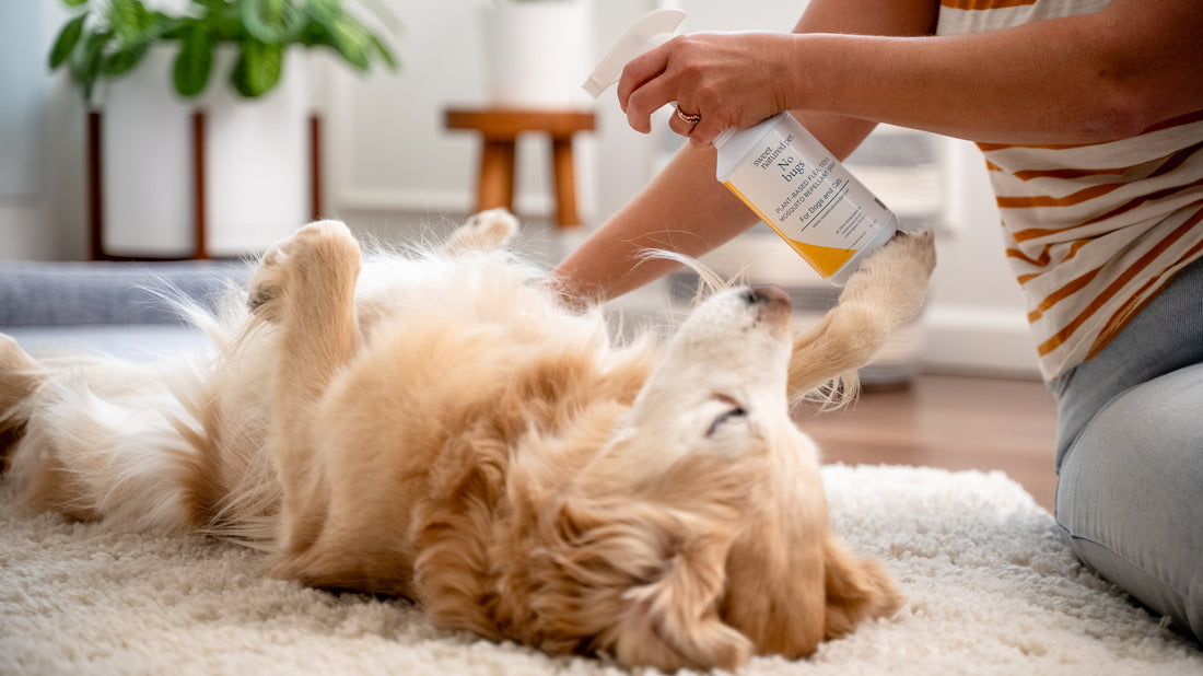 What's Really in Your Dog's Flea Prevention? The Side Effects No One Talks About