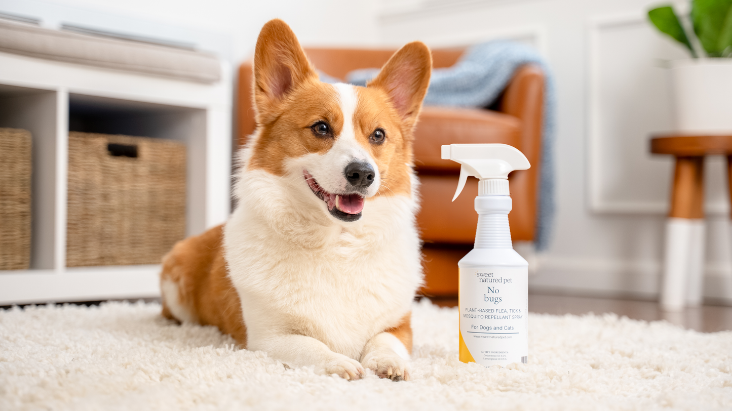 No Bugs! Flea, Tick & Mosquito Repellant Spray
