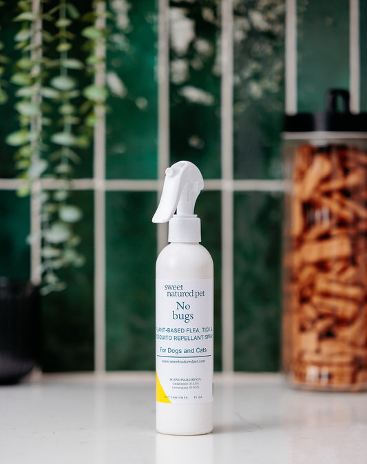 Spray bottle of No Bugs! plant based flea, tick and mosquito spray for dogs with green tile and a canister of dog treats in the background