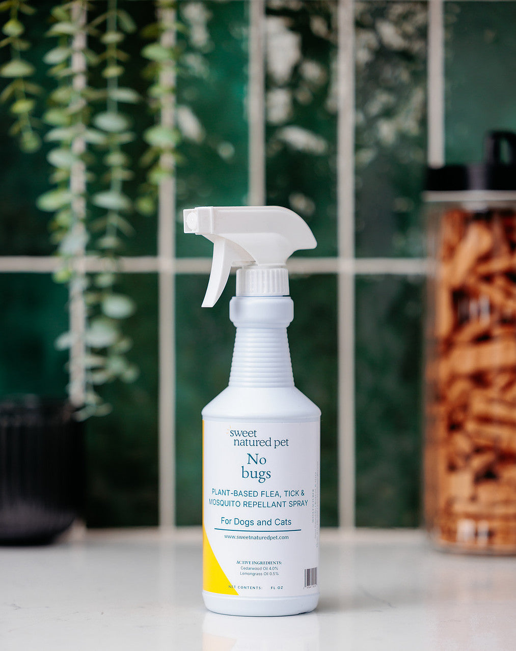 natural flea and tick preventatives for dogs