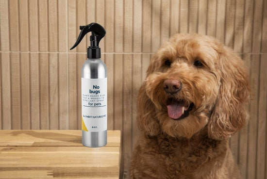 Dog with flea & tick repellant spray