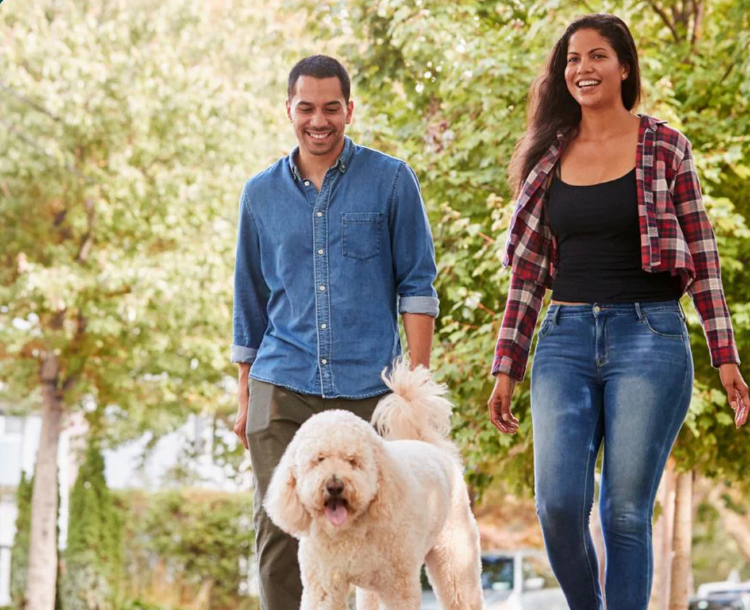 No Bugs! Home and Away Pack